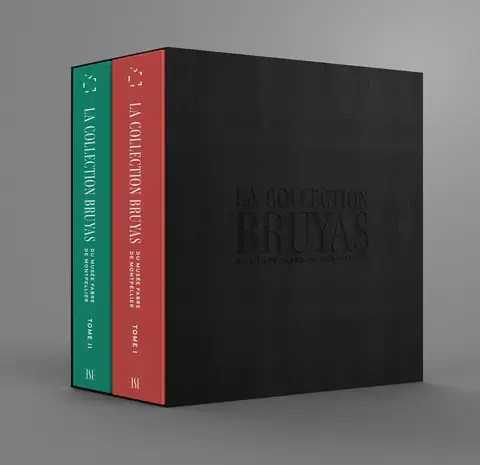 La collection Bruyas du musée Fabre de Montpellier