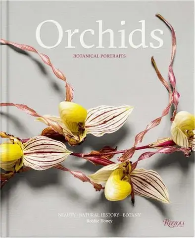 Orchids: botanical portraits